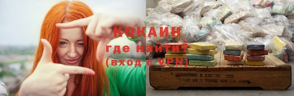 трава Бородино
