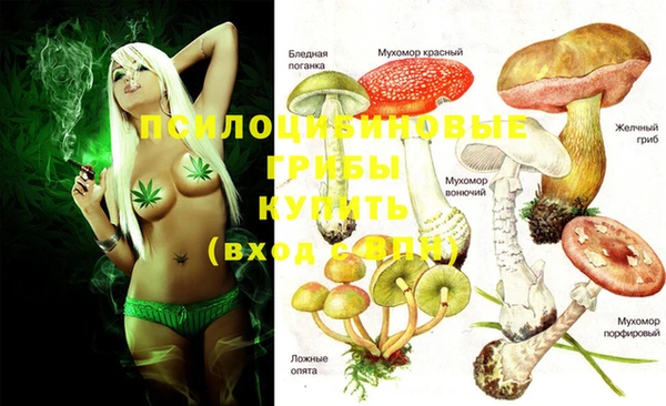 трава Бородино
