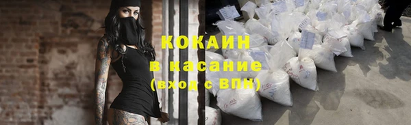 трава Бородино