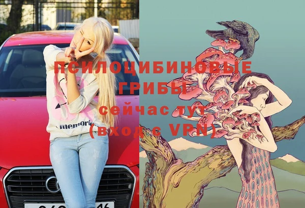 трава Бородино