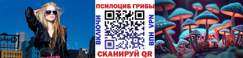 Псилоцибиновые грибы Cubensis  Озёры 